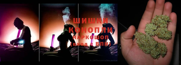 apvp Алзамай