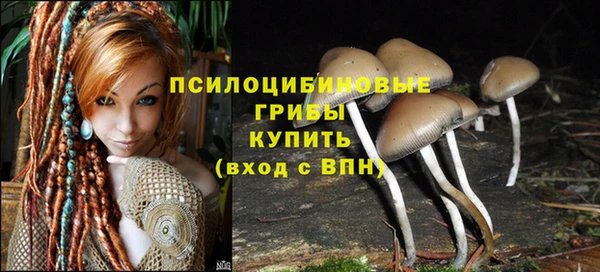 спиды Абдулино