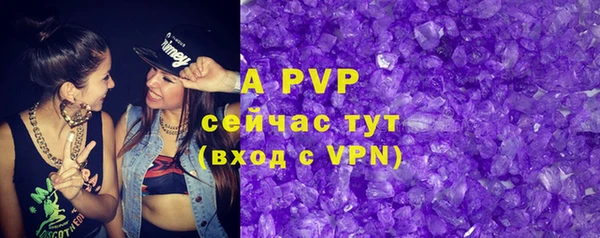 apvp Алзамай
