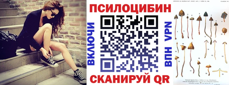 купить наркоту  Зеленогорск  Псилоцибиновые грибы GOLDEN TEACHER 